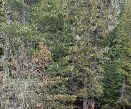 Indian Creek Campgrounds Store
