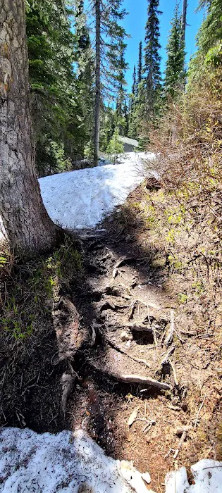 Two Mouth Lakes Picture 8