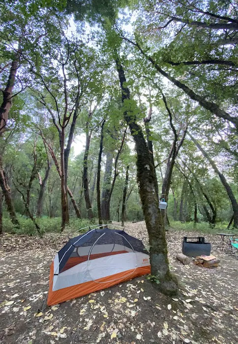 Oak Bottom Campground Picture 4