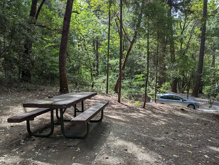 Oak Bottom Campground Picture 5