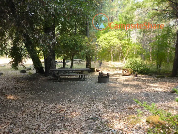 Pearch Creek Campground Picture 4