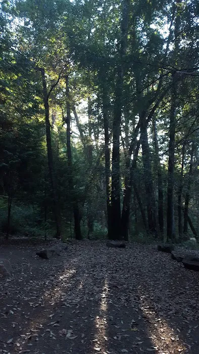 Pearch Creek Campground Picture 1