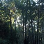 Pearch Creek Campground