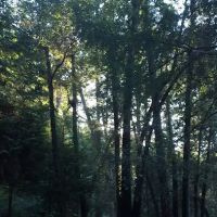 Pearch Creek Campground ico