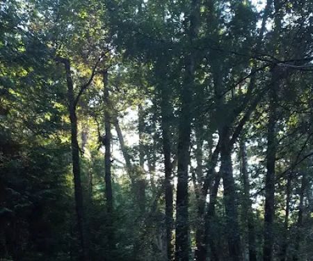 Pearch Creek Campground