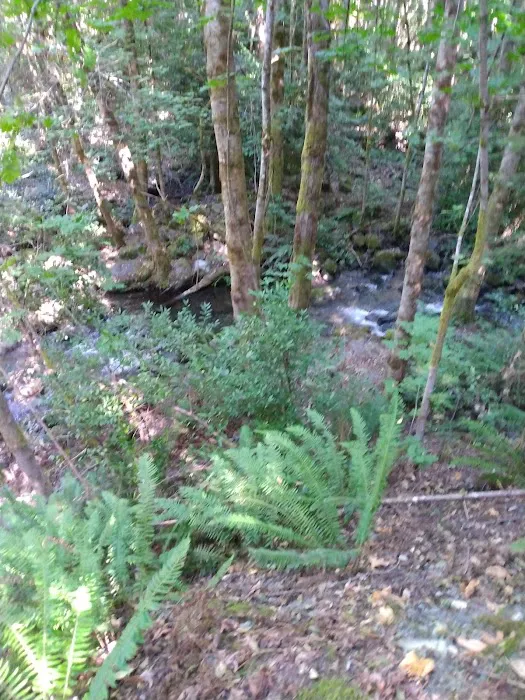 Pearch Creek Campground Picture 8