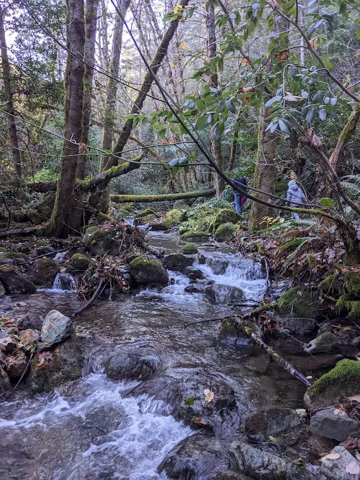 Pearch Creek Campground Picture 6