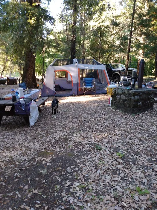 Pearch Creek Campground Picture 5