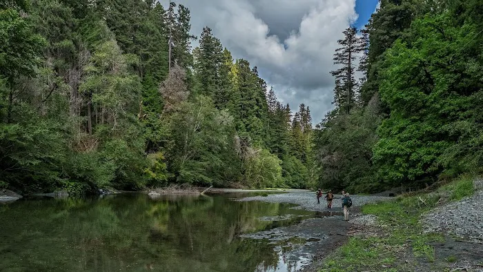 Redwood Creek Dispersed Camping Picture 1