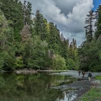 Redwood Creek Dispersed Camping ico