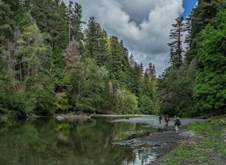 Redwood Creek Dispersed Camping