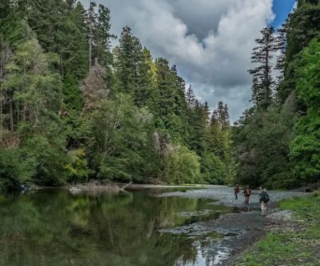 Redwood Creek Dispersed Camping