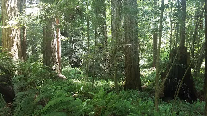 44 Camp Picture 3