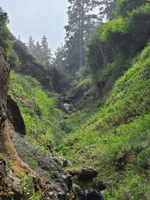 Abalone Campground Picture 1