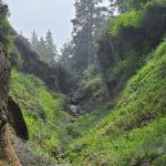 Abalone Campground