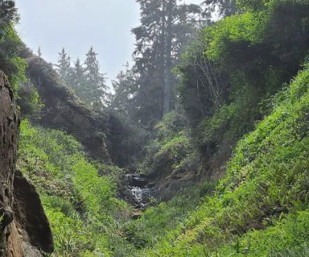 Abalone Campground