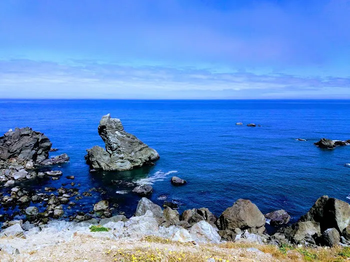 Abalone Campground Picture 8