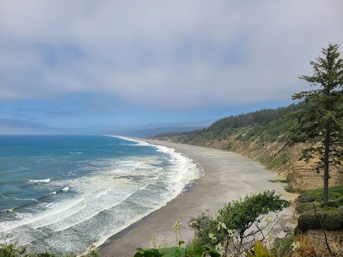 Abalone Campground Picture 4