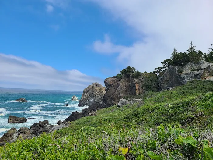 Abalone Campground Picture 7