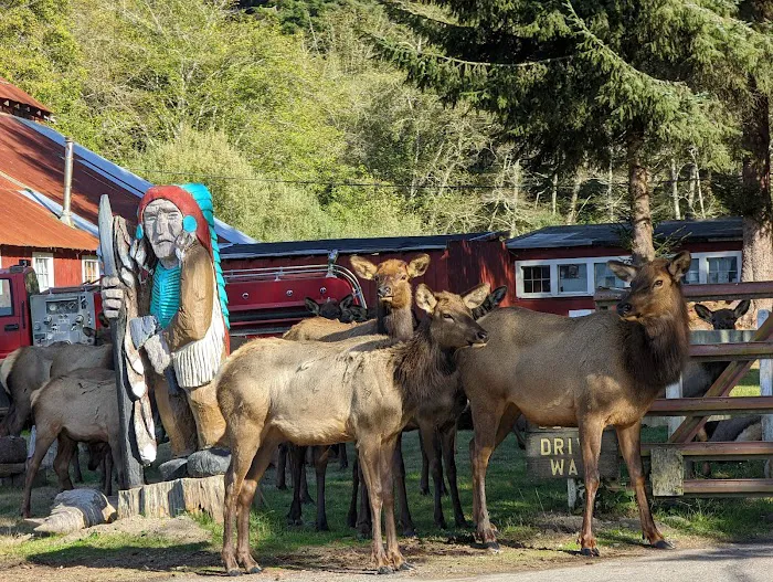 Elk Country RV Resort & Campground Picture 2