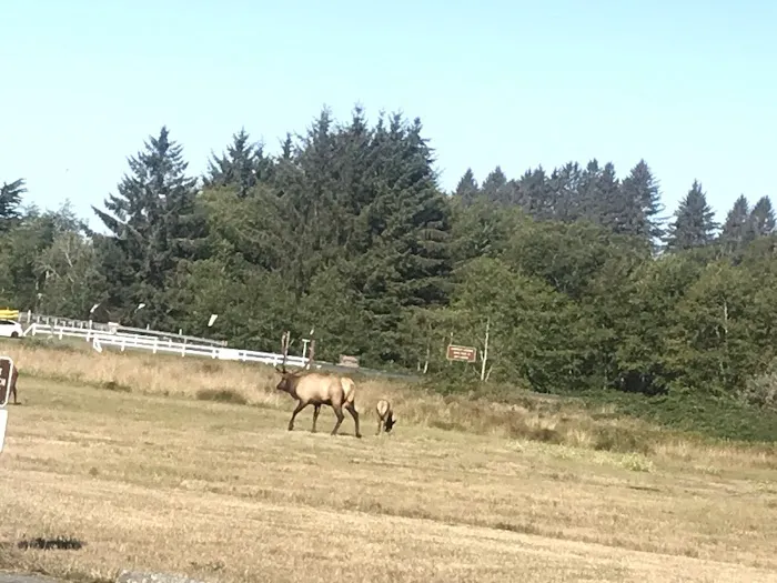 Elk Country RV Resort & Campground Picture 5