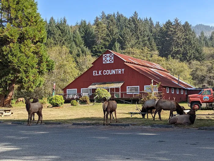Elk Country RV Resort & Campground Picture 7