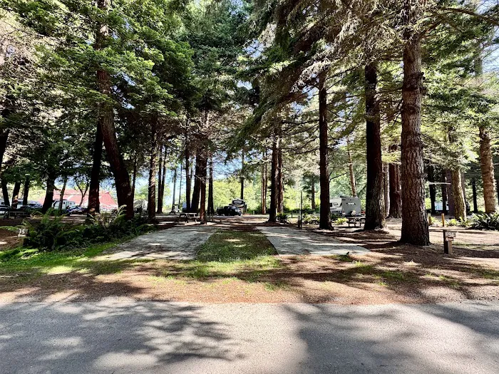 Elk Country RV Resort & Campground Picture 10