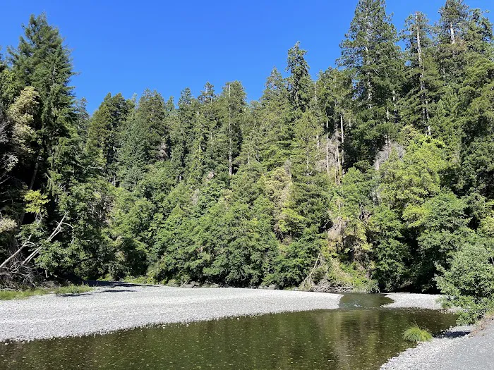 Redwood Creek Dispersed Camping Picture 1
