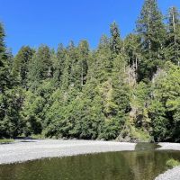 Redwood Creek Dispersed Camping ico