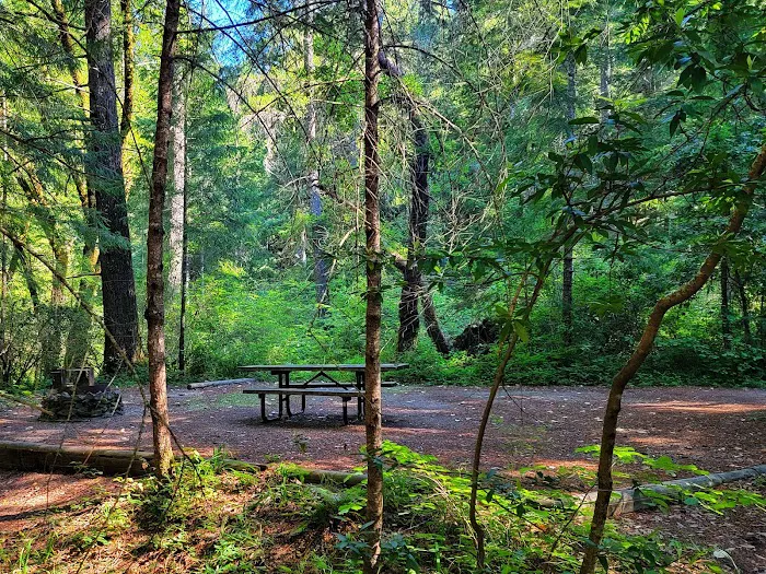 Wailaki Campground Picture 6