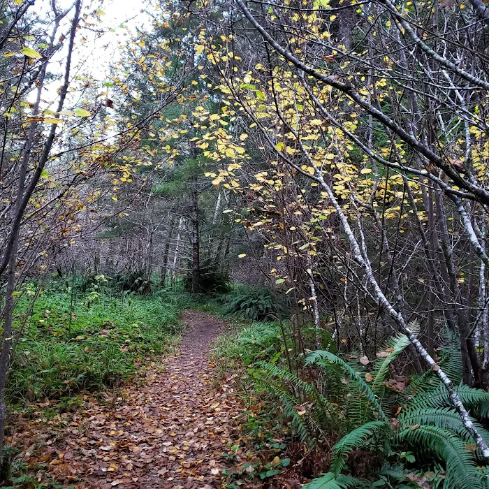 Nadelos Campground Picture 2