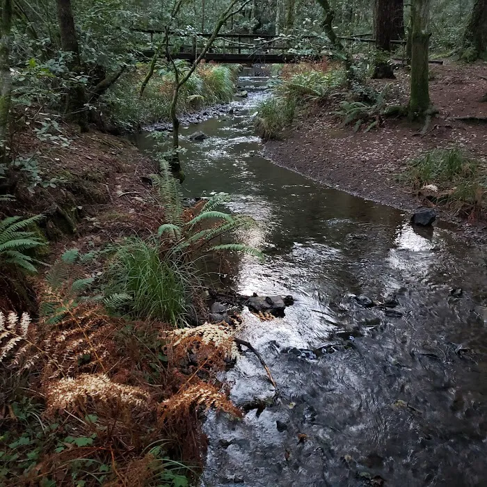 Nadelos Campground Picture 3