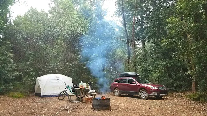 Tolkan Campground Picture 7