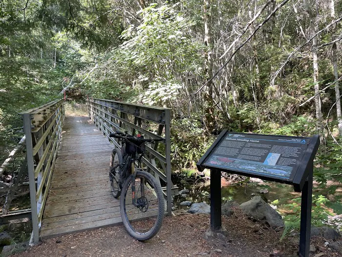 Tolkan Campground Picture 2