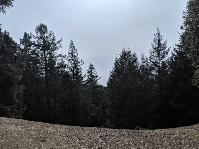 Tolkan Campground Picture 10