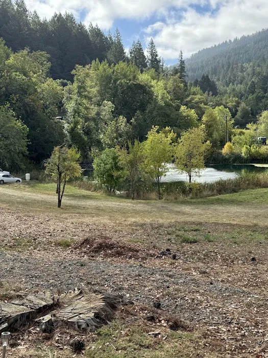 Salmon Creek Mountain View Retreat Picture 1