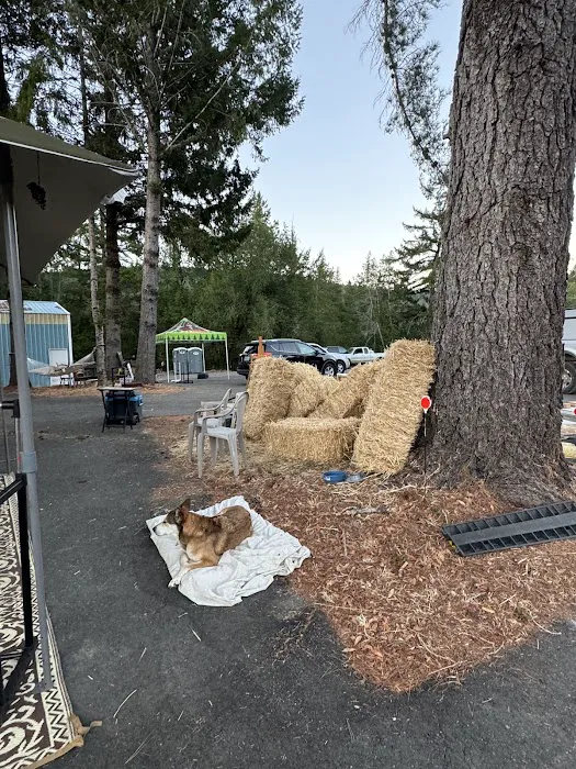 Salmon Creek Mountain View Retreat Picture 5