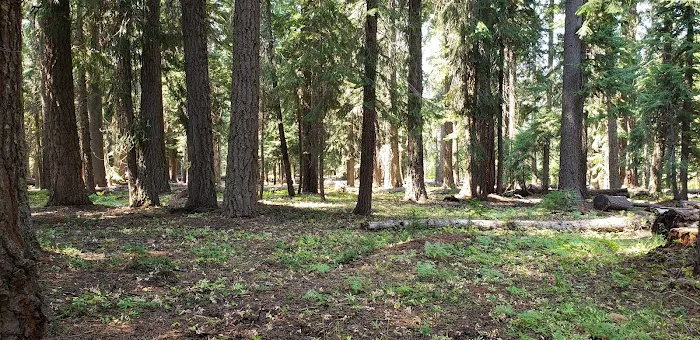 Surveyor Recreation Site Picture 3