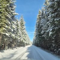 Surveyor Recreation Site ico