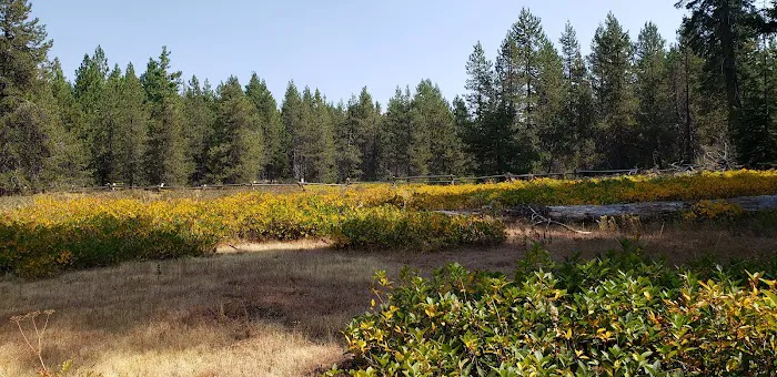 Surveyor Recreation Site Picture 5