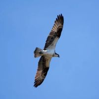 Hyatt Lake Recreation Area ico