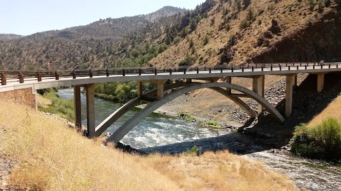 Tree of Heaven Campground Picture 6