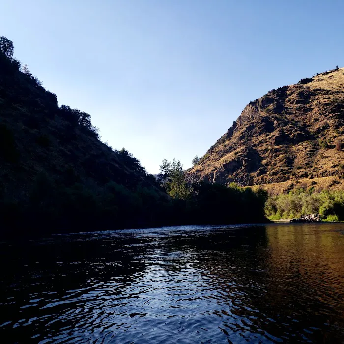 Tree of Heaven Campground Picture 3