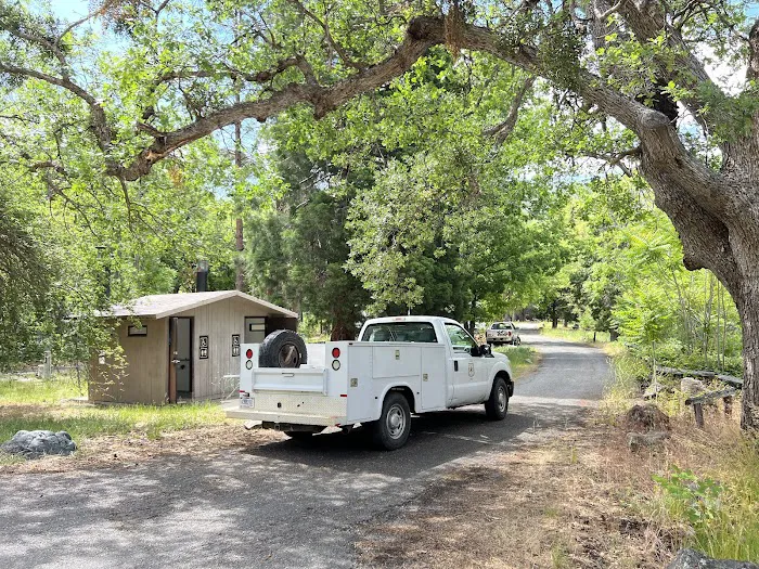 Tree of Heaven Campground Picture 8