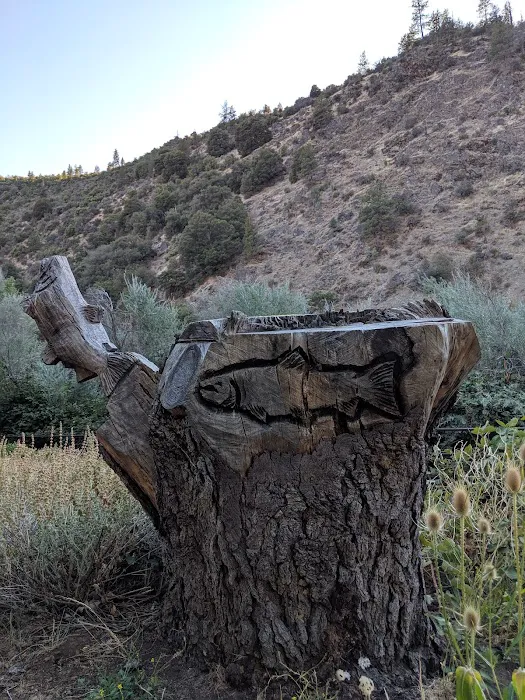 Tree of Heaven Campground Picture 1
