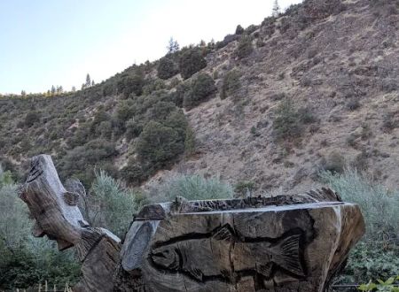 Tree of Heaven Campground