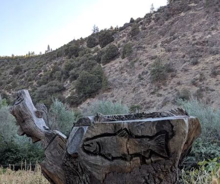Tree of Heaven Campground