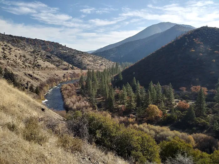 Tree of Heaven Campground Picture 10