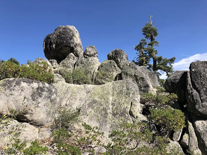 Mt. Ashland Campground Picture 6