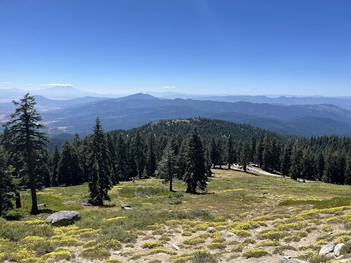 Mt. Ashland Campground Picture 9